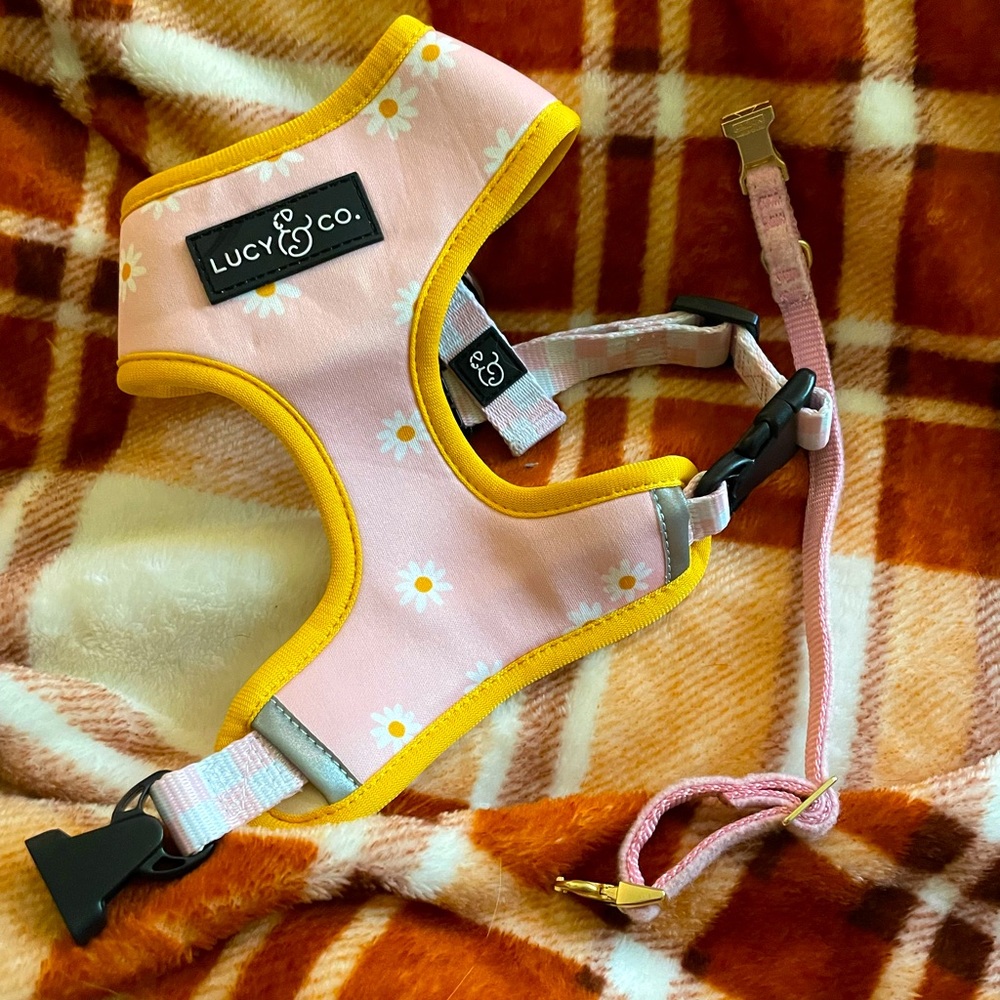 Lucy and co small dog harness and collar my puppy outgrew and barely used